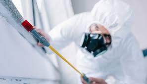 Pest Control for Warehouses in Villa Grove, IL